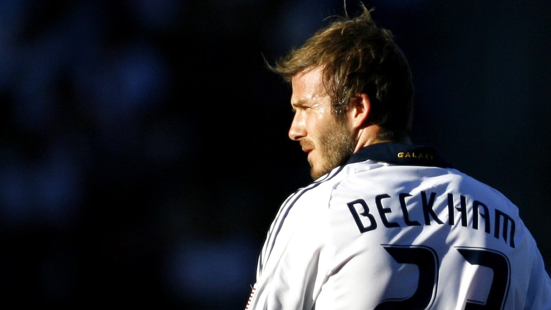 墨西哥马术协会举办国际马术科技大会，推动行业技术交流与合作。